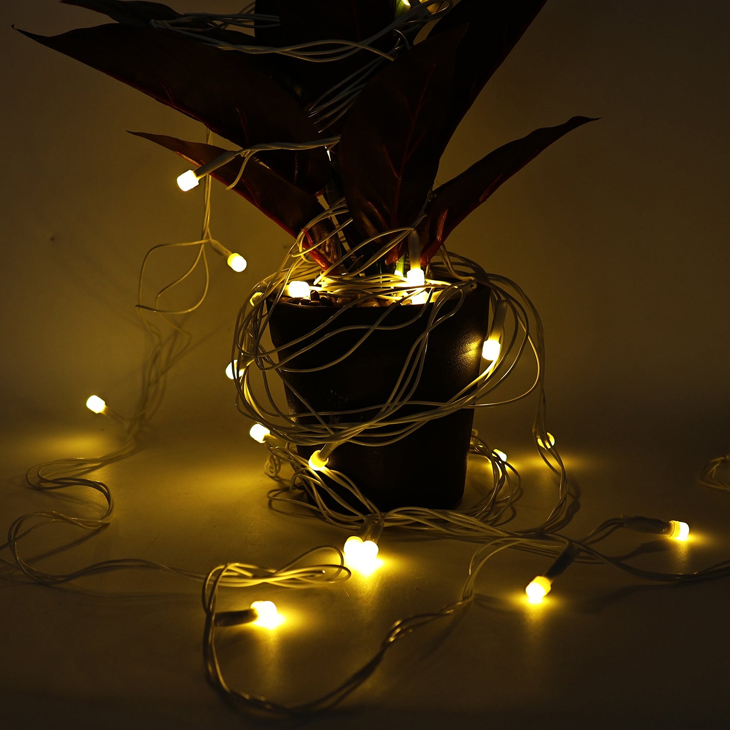 Warm Led Decorative String Light (8 Meter)